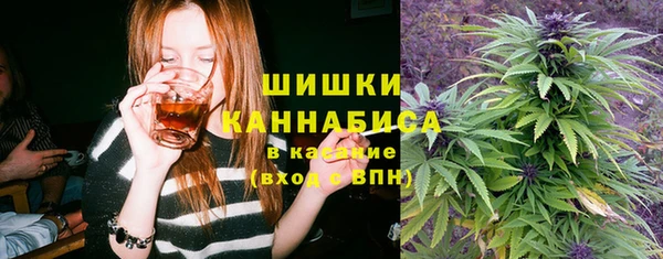 эйфоретик Алексин